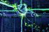 Quantum entanglement detected inside a centimeter-sized strange metal
