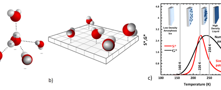 csm_Zanottii_SciRep_2016_fig_4_bfaf5473f3.png