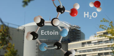 csm_image MPI web_54faa13ec0.png