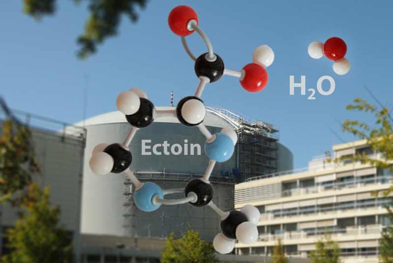 csm_image MPI web_54faa13ec0.png