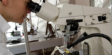 csm_neutrons disease Anne Martel_2f1babc39a.png