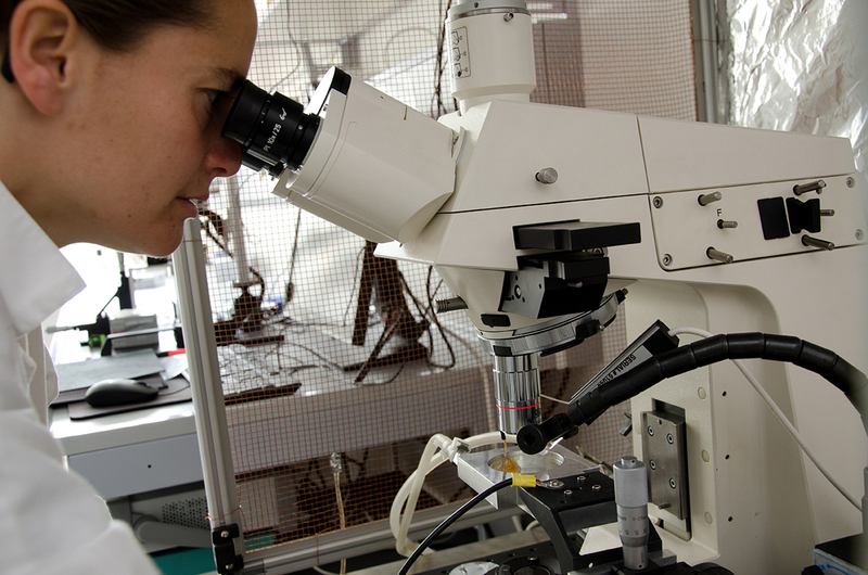 csm_neutrons disease Anne Martel_2f1babc39a.png