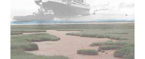 csm_salt_marsh_and_titanic_01_e9a44d5d28.png