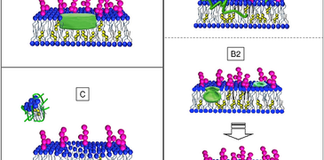 csm_srep20997 f5_5466a5202a.png