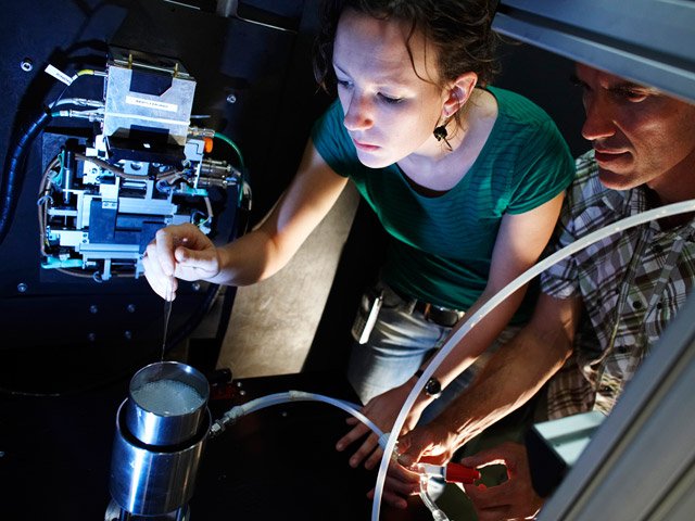 figaro description7.jpg