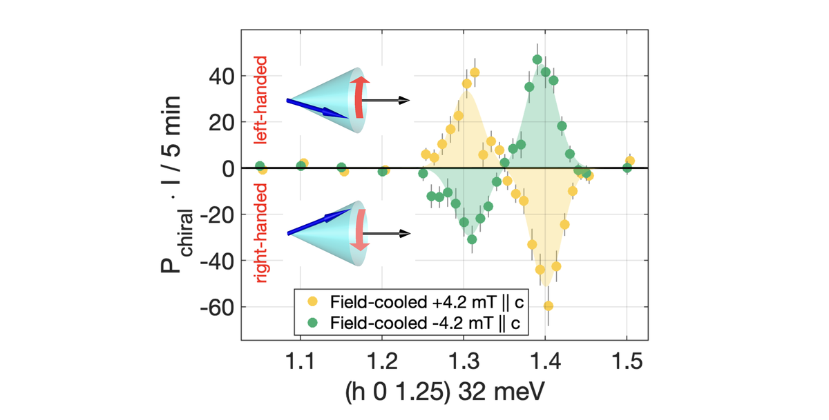 Reversible switching of magnon chirality