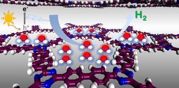 illustration_CTFs CMPs_MZ.jpg