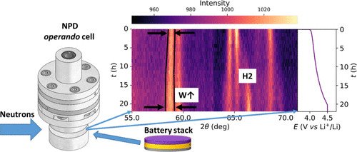 images_medium_tz5c00596_0005