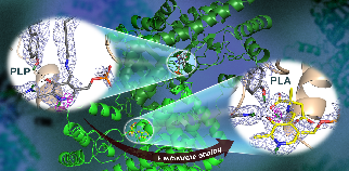 preview_17 G01004_Figure_Kovalevsky_v3_664b993e1d.png