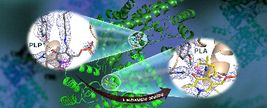 preview_17 G01004_Figure_Kovalevsky_v3_664b993e1d.png