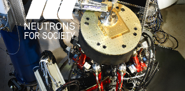 preview_Salsa boron_07a4c5a5d5.png