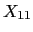 $X_{11}$