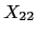 $X_{22}$