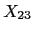 $X_{23}$