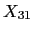 $X_{31}$